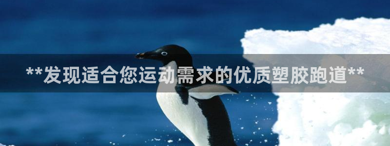 红足一1世官网足球推荐真人：**发现适合您运动需求的优质塑胶跑道**