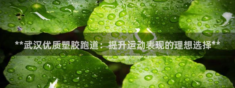 红足1世足球网址大全：**武汉优质塑胶跑道：提升运动表现的理想选择**