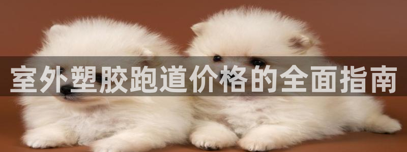 红足1一世开奖版：室外塑胶跑道价格的全面指南