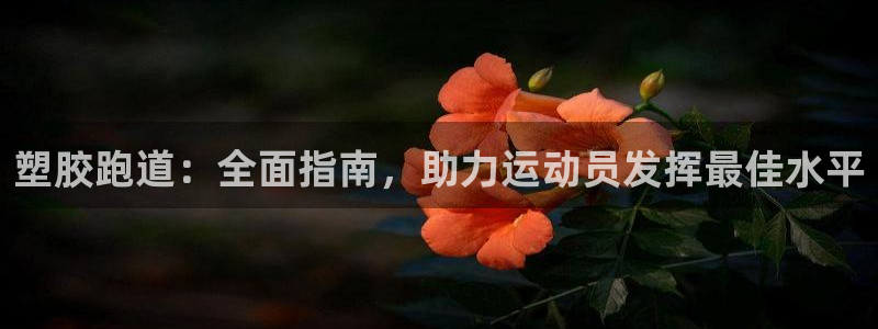 红足1一世 2站：塑胶跑道：全面指南，助力运动员发挥最佳水平