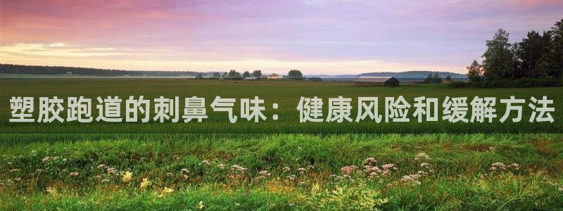 77814红足1世：塑胶跑道的刺鼻气味：健康风险和缓解方法