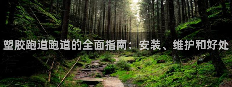 红足一1世官网足球推荐真人：塑胶跑道跑道的全面指南：安装、维护和好处