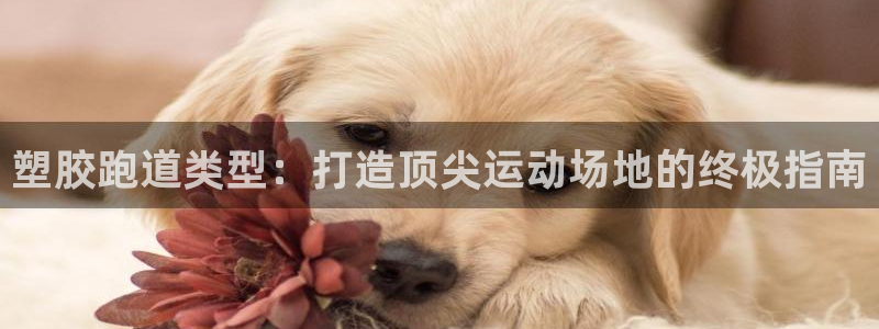 红足一1世手机版新皇冠：塑胶跑道类型：打造顶尖运动场地的终极指南
