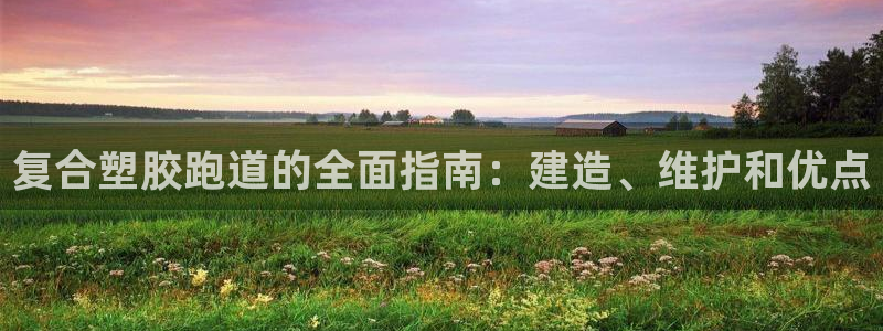 红足一1世比分网：复合塑胶跑道的全面指南：建造、维护和优点