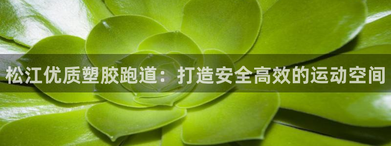 红足一1世比分球探：松江优质塑胶跑道：打造安全高效的运动空间