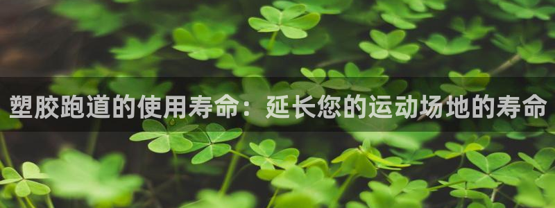 红足1世官网：塑胶跑道的使用寿命：延长您的运动场地的寿命