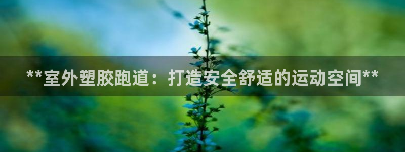 红足一1世77814：**室外塑胶跑道：打造安全舒适的运动空间**