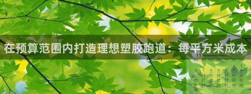 百度红足一1世：在预算范围内打造理想塑胶跑道：每平方米成本