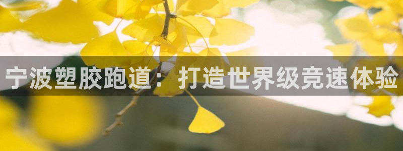 新2足球平台出租网站：宁波塑胶跑道：打造世界级竞速体验