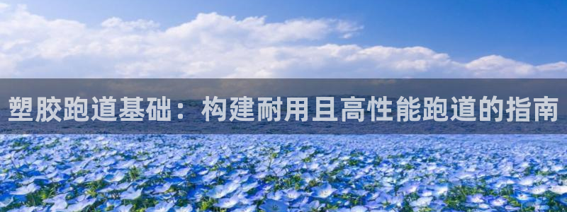 红足一比分网：塑胶跑道基础：构建耐用且高性能跑道的指南