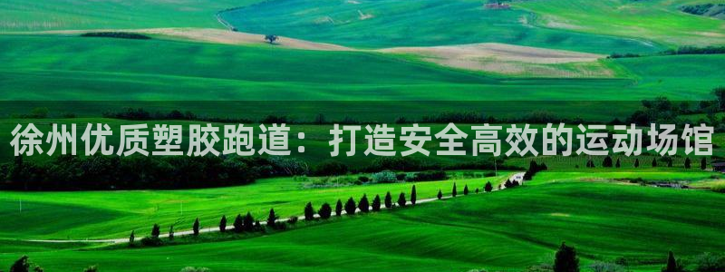 红足一一世：徐州优质塑胶跑道：打造安全高效的运动场馆