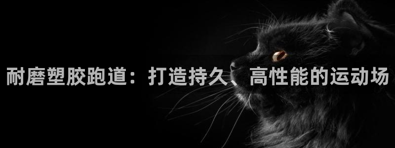 百度红足一1使用说明：耐磨塑胶跑道：打造持久、高性能的运动场