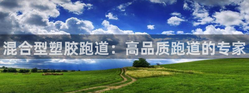 红足一1世平台：混合型塑胶跑道：高品质跑道的专家