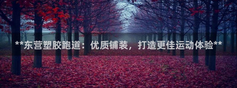 百度红足一1是干什么的：**东营塑胶跑道：优质铺装，打造更佳运动体验**