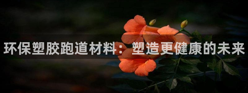 红足1世足球网址大全：环保塑胶跑道材料：塑造更健康的未来