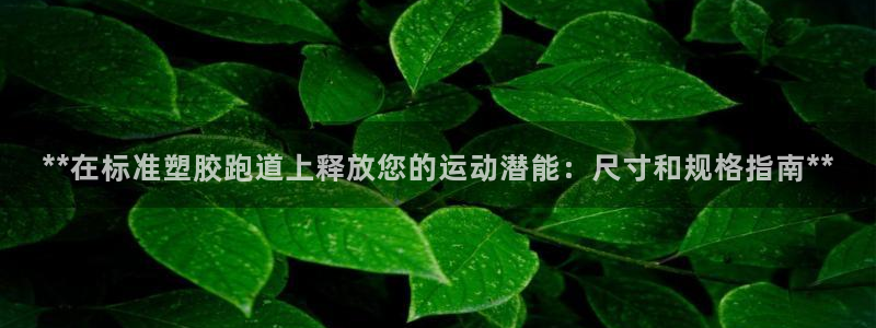 红足一1世手机皇冠：**在标准塑胶跑道上释放您的运动潜能：尺寸和规格指南**