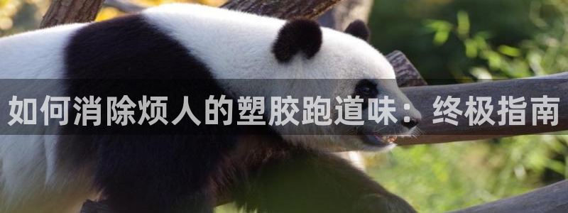 百度红足一1是为什么：如何消除烦人的塑胶跑道味：终极指南