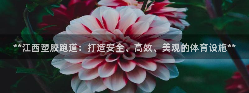 红足1世足球网址：**江西塑胶跑道：打造安全、高效、美观的体育设施**