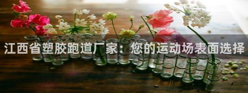 红足 世足球手机网：江西省塑胶跑道厂家：您的运动场表面选择
