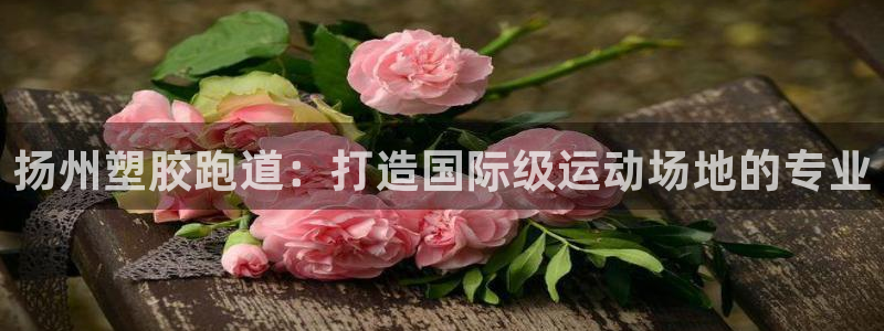 红足体育网：扬州塑胶跑道：打造国际级运动场地的专业