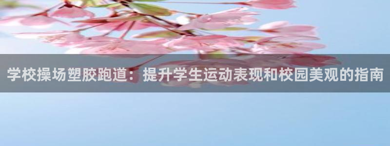 红姐现场直播开奖记录：学校操场塑胶跑道：提升学生运动表现和校园美观的指南