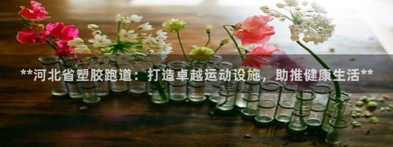 红足一1世66814：**河北省塑胶跑道：打造卓越运动设施，助推健康生活**