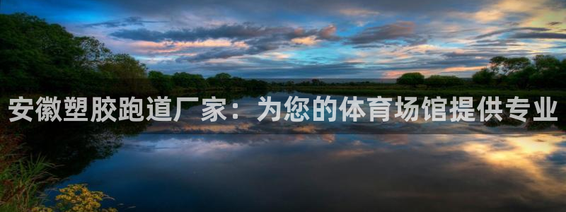 红足1世足球网址大全：安徽塑胶跑道厂家：为您的体育场馆提供专业