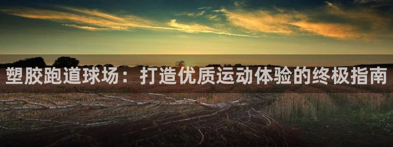 红足一1世手机版赛果：塑胶跑道球场：打造优质运动体验的终极指南