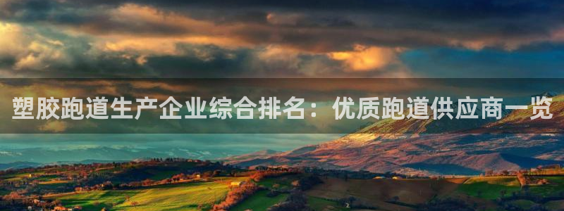 红足1一世 2站：塑胶跑道生产企业综合排名：优质跑道供应商一览