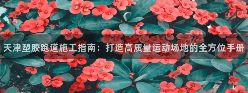 55814红足1世：天津塑胶跑道施工指南：打造高质量运动场地的全方位手册
