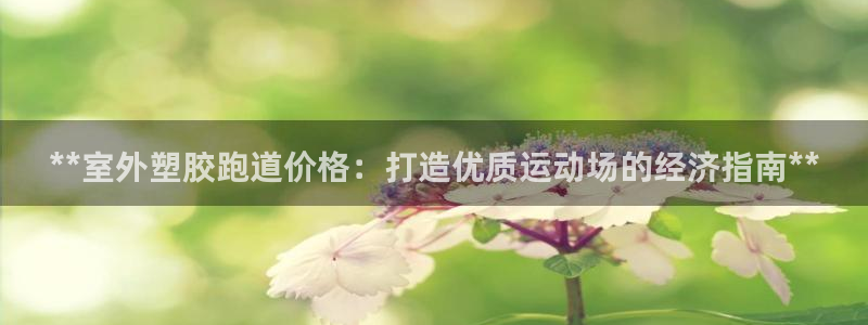 红足一1世手机皇冠：**室外塑胶跑道价格：打造优质运动场的经济指南**