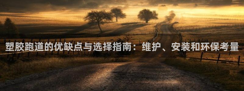 红足1一世：塑胶跑道的优缺点与选择指南：维护、安装和环保考量