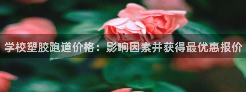 红足1世足球比分网址：学校塑胶跑道价格：影响因素并获得最优惠报价
