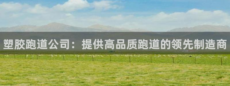 百度红足一1是干什么的：塑胶跑道公司：提供高品质跑道的领先制造商