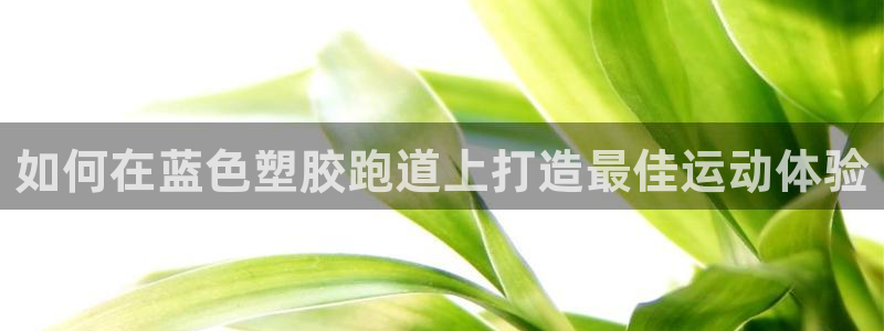 红足一1世66814：如何在蓝色塑胶跑道上打造最佳运动体验