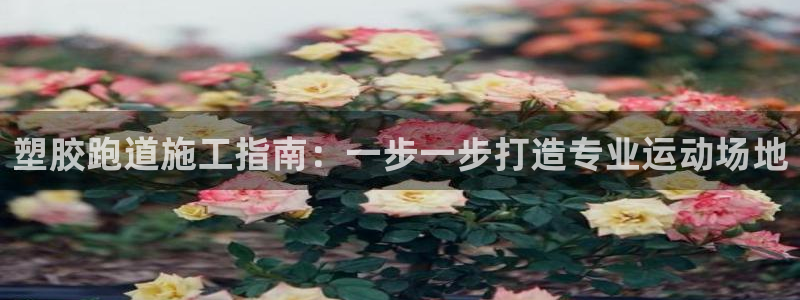百度红足一1是什么样子的：塑胶跑道施工指南：一步一步打造专业运动场地