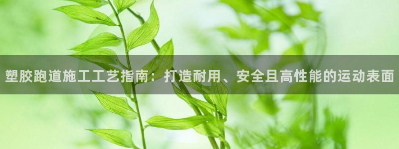 红足一1世比分：塑胶跑道施工工艺指南：打造耐用、安全且高性能的运动表面