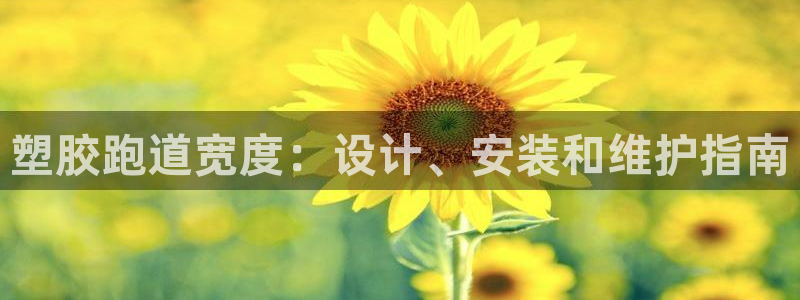 红足 世足球手机网：塑胶跑道宽度：设计、安装和维护指南