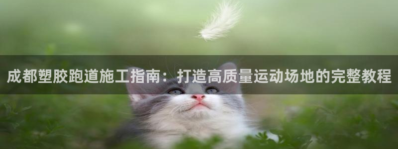 红足1世开奖预测：成都塑胶跑道施工指南：打造高质量运动场地的完整教程