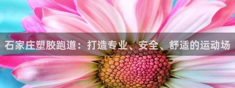红足一1世比分网：石家庄塑胶跑道：打造专业、安全、舒适的运动场