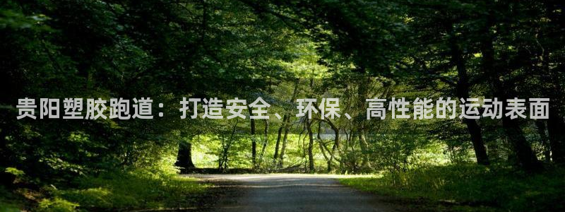 红足一1世皇冠地址：贵阳塑胶跑道：打造安全、环保、高性能的运动表面