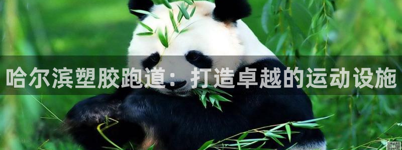 红足一1世手机皇冠：哈尔滨塑胶跑道：打造卓越的运动设施