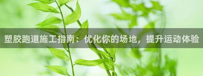 红足1世足球比分 localhost：塑胶跑道施工指南：优化你的场地，提升运动体验