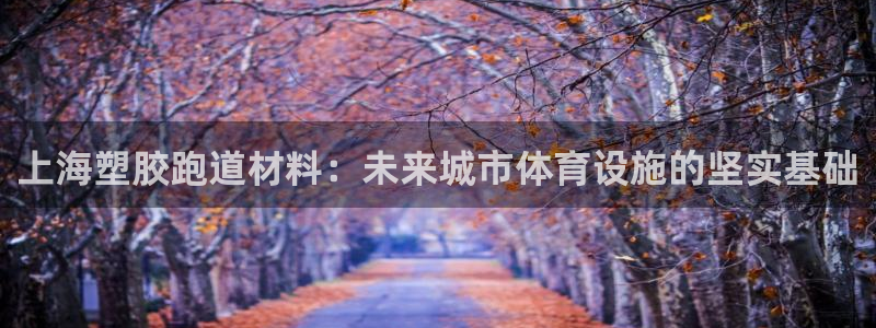 红足1世足球：上海塑胶跑道材料：未来城市体育设施的坚实基础