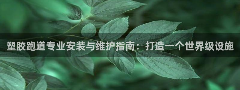 红足一1世比分球探：塑胶跑道专业安装与维护指南：打造一个世界级设施