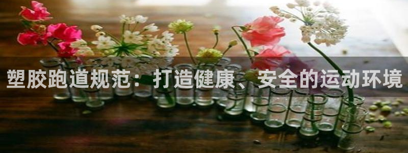 百度红足一1是什么样子的：塑胶跑道规范：打造健康、安全的运动环境
