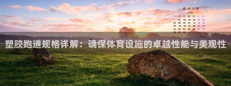 4633333开奖结果4176一点红：塑胶跑道规格详解：确保体育设施的卓越性能与美观性