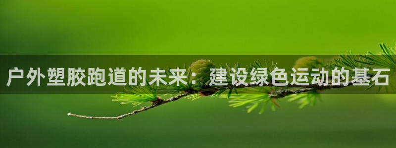 红足1世1站2站管理网：户外塑胶跑道的未来：建设绿色运动的基石