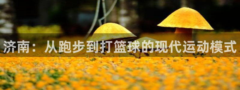 红足1世开奖预测：济南：从跑步到打篮球的现代运动模式