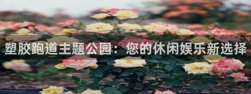 红足一1世即时比分：塑胶跑道主题公园：您的休闲娱乐新选择